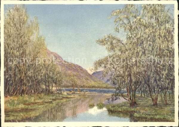 Bienfaisance Rivapiana Locarno VI. 31