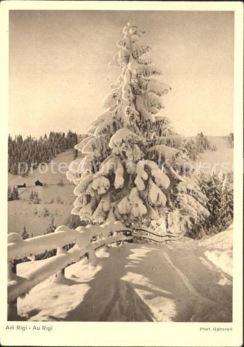 Foto Gaberell J. Nr. Am Rigi Tanne Edition Bienfaisance