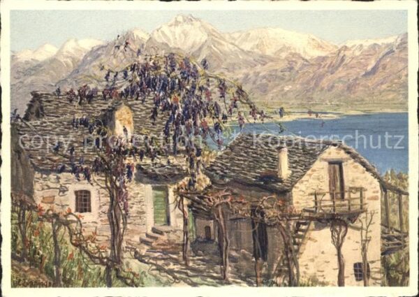 Kuenstlerkarte E. Zuppinger Häuser Pizzo Camoghe VI. 3