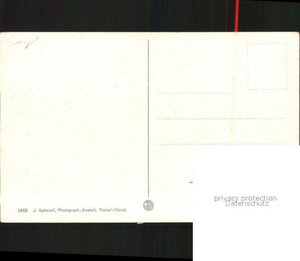 Toedi Sandalp Kühe – Bild 2