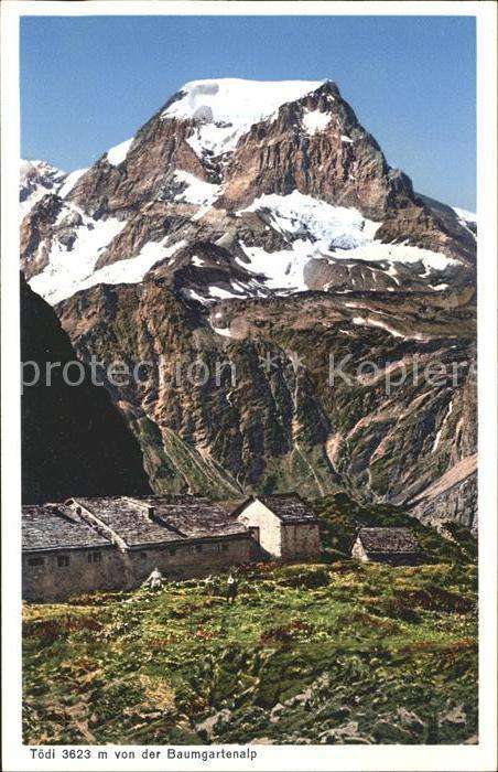 Toedi Von Baumgartenalp
