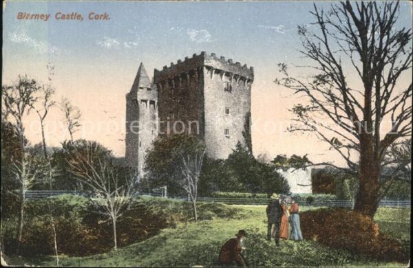 Cork Blarney Castle