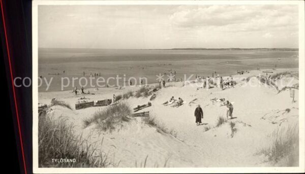 Tyloesand Strand Dünen