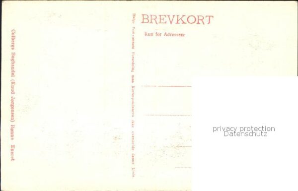 Bornholm Lovehovederne ved Hammenen Felsen Küste – Bild 2