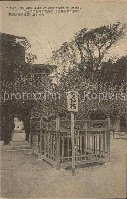 Dazaifu Plum Tree Lord Michizane
