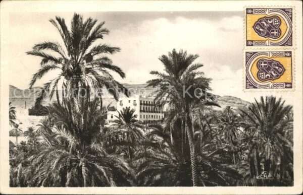 Bou Saada Hotel Transatlantique Palmen
