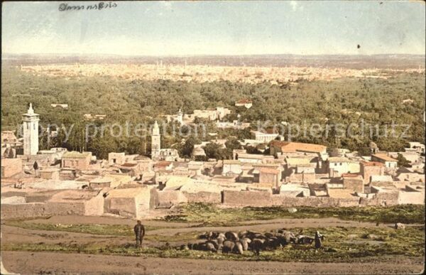 Damas Damaskus Syria Panorama