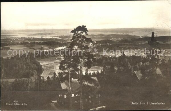 Oslo Norwegen Fra Holmenkollen Panorama