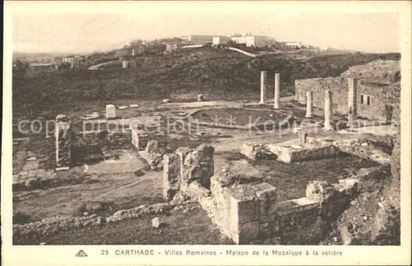 Carthage Karthago Villas Romaines