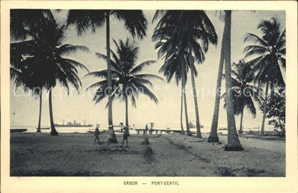 Gabon Port Gentil Palmen
