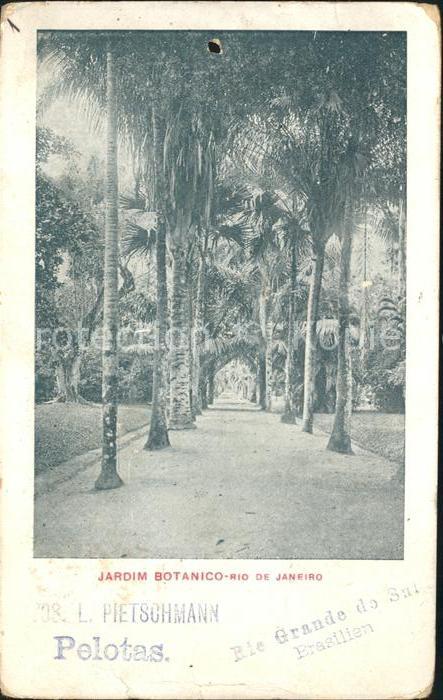 Rio de Janeiro Jardim Botanico