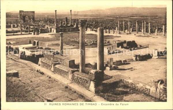 Timgad Ruines Romaines Ensemble du Forum Histo