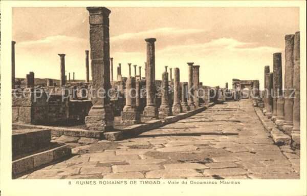 Timgad Ruines Romaines Decumanus Maximus Histo
