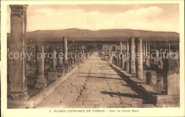 Timgad Ruines Romaines Le Cardo Historische St