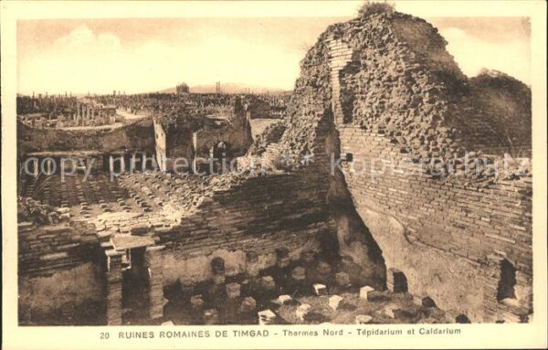 Timgad Ruines Romaines Thermes Historische Stä