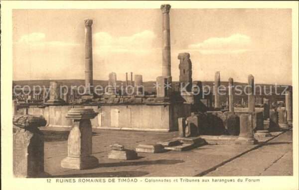 Timgad Ruines Romaines Colonnades Tribunes For