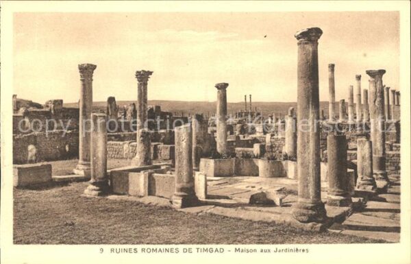 Timgad Ruines Romaines Maison aux Jardinieres