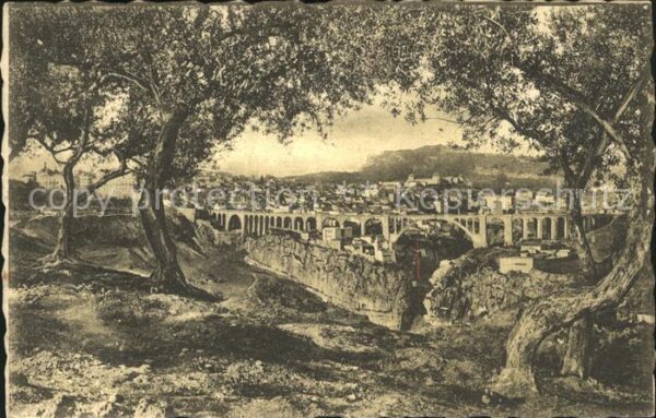 Constantine Algerien A travers les Oliviers Bridge