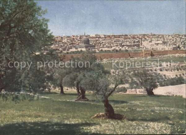 Jerusalem Yerushalayim Blick vom Oelberg