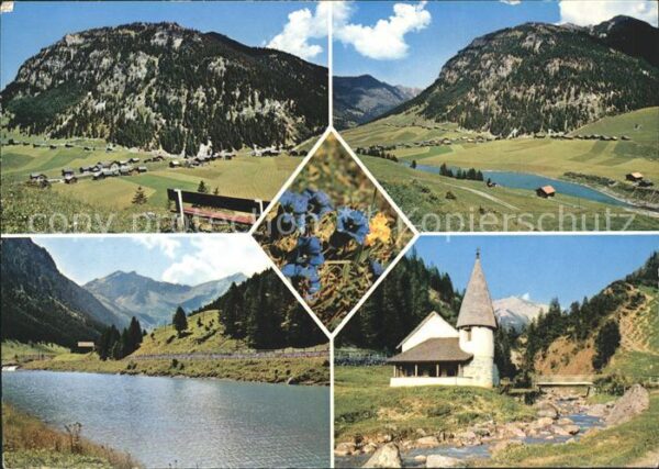 Steg Liechtenstein Panorama Saminatal Kirchlein Alpenflora