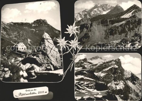 Triesenberg Pfälzerhütte Edelweiss Schutzhütte Räti