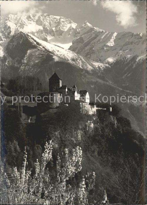 Vaduz Schloss mit Alpenpanorama