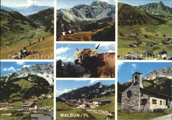 Malbun Wandergebiet Alpenpanorama Kuh Friedens