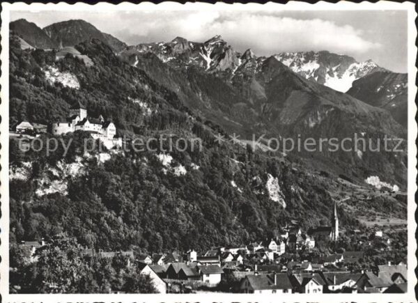 Vaduz Gesamtansicht mit Schloss und Alpen