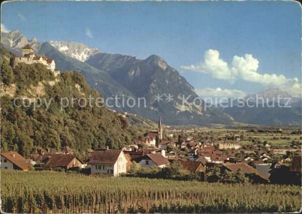 Vaduz Gesamtansicht mit Schloss und Alpen