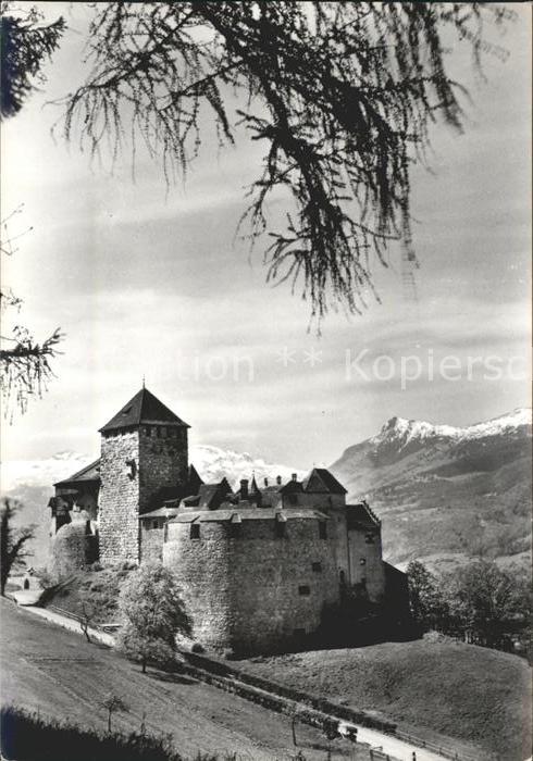 Vaduz Schloss Alpenpanorama