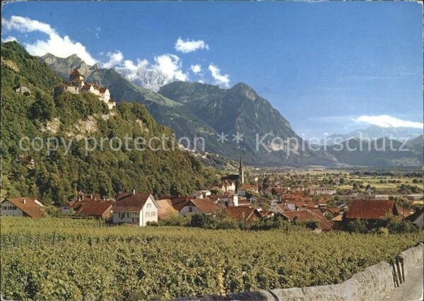 Vaduz Gesamtansicht mit Schloss und Alpenpano