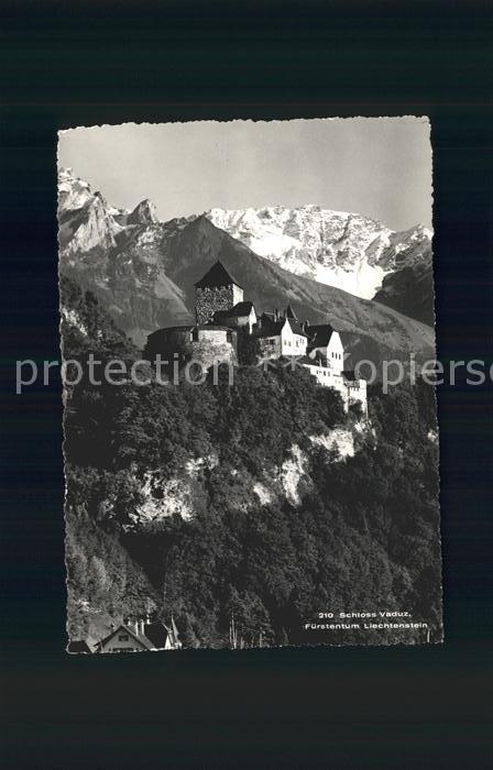Vaduz Schloss mit Alpenpanorama