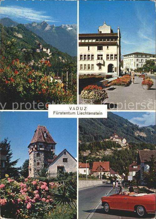 Vaduz Schloss mit Alpen Ortspartie Turm