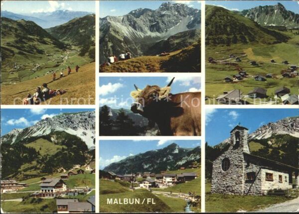 Malbun Wanderparadies Alpenpanorama Kuh Friede