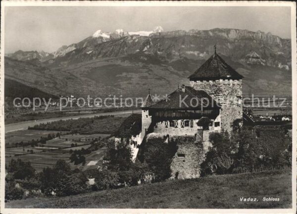 Vaduz Schloss Rheintal Alpenpanorama