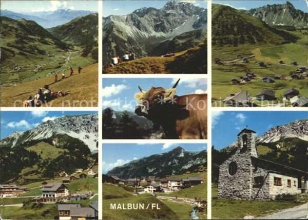 Malbun Wanderparadies Alpenpanorama Kuh Alpenh