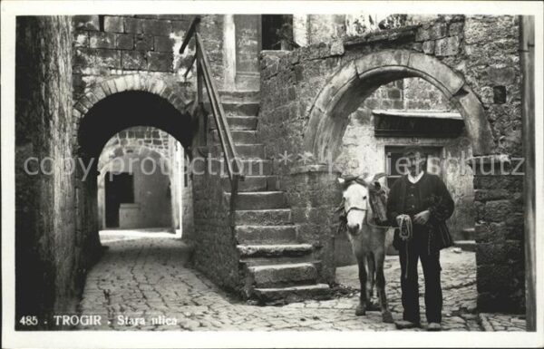 Trogir Trau Stara ulica Pferd