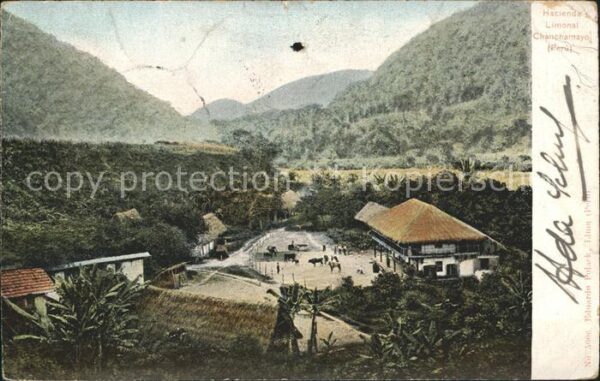 Chanchamayo Hacienda Limonal