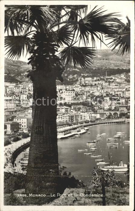 Monaco Port et la Condamine Palmier