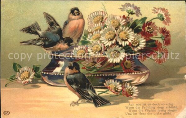 Voegel Margeriten Vase Gedicht