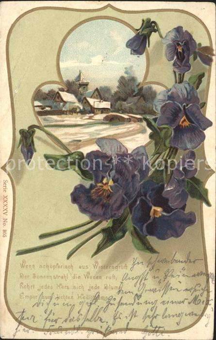 Blumen Veilchen Gedicht