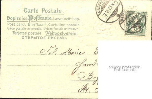 Voegel Schwalben Blumen – Bild 2