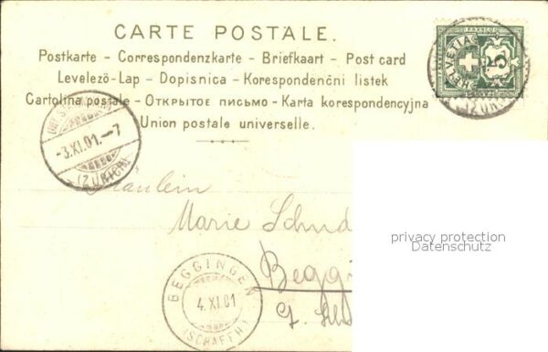Paare Litho Hutmode Rose – Bild 2