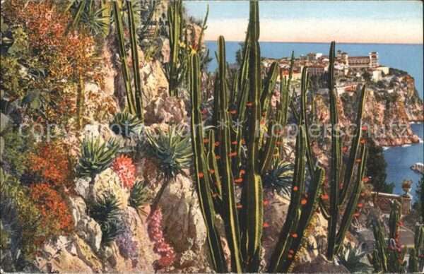 Kakteen Monaco Jardin Exotique Roeher