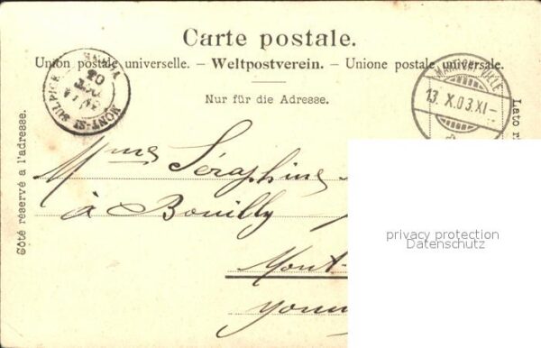 Gemse Souvenir des Alpes – Bild 2