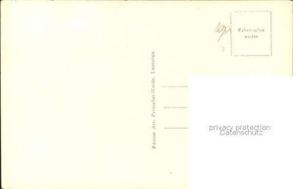 Kuehe Alpage – Bild 2