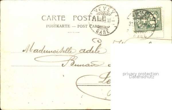 Kuehe – Bild 2