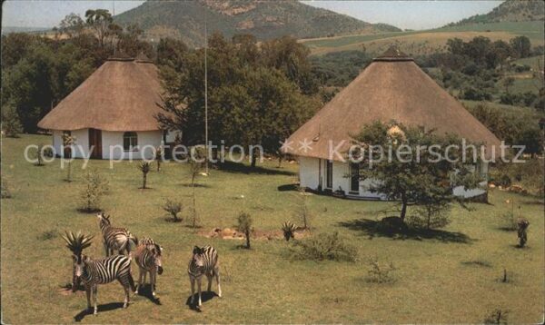 Zebra Heia Safari Ranch