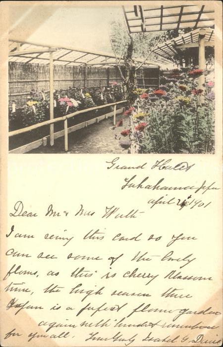 Blumen Gewächshaus