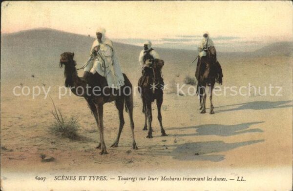 Kamel  Camel Chameau Scenes et Types Touaregs Mecharas dunes